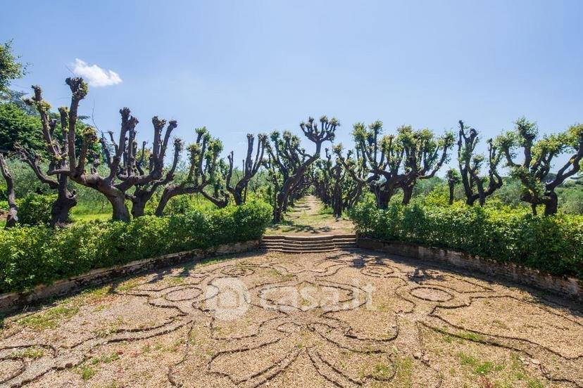 Villa in Strada di Scacciapensieri — foto 39 di 54