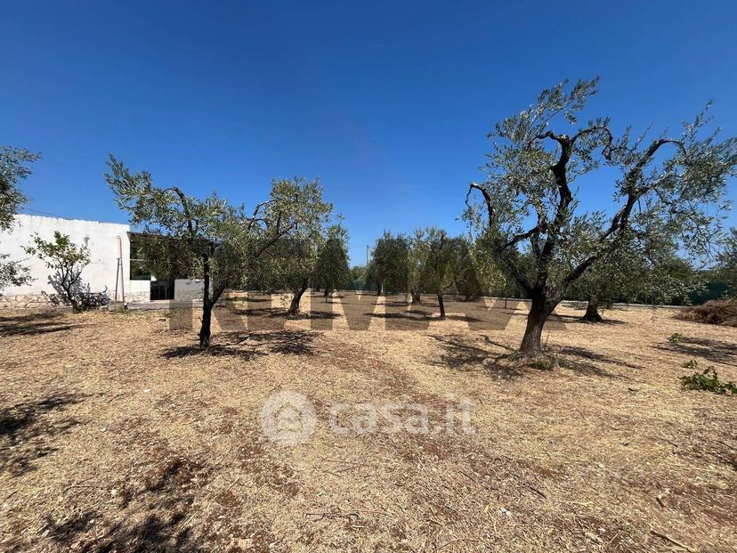 Villa in Località Spacco 1 — foto 15 di 31