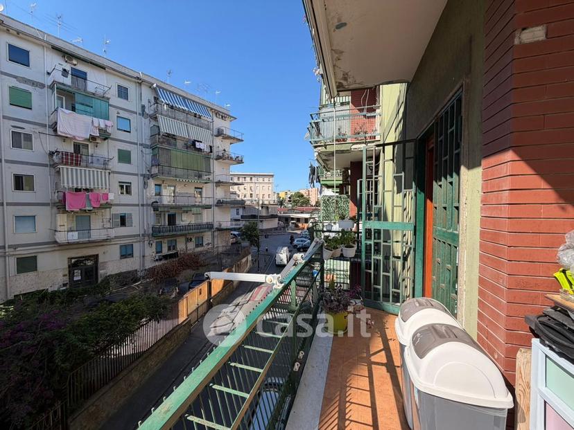 Trilocale in Viale Leone 24 — foto 29 di 33