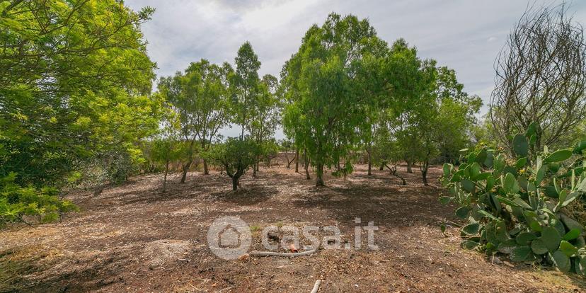 Villa in Strada Comunale Brindisi 6 — foto 15 di 54