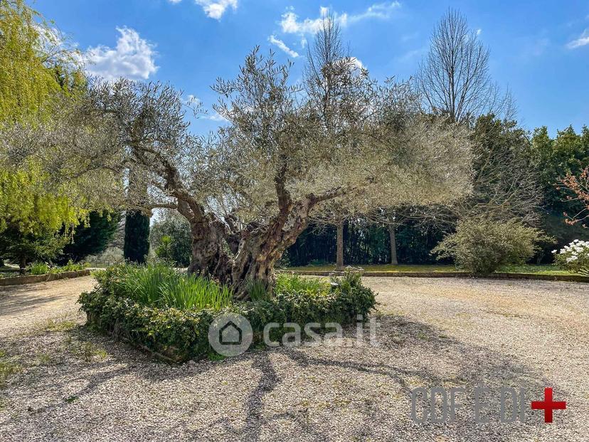 Villa in Via Santa Lucia — foto 45 di 70