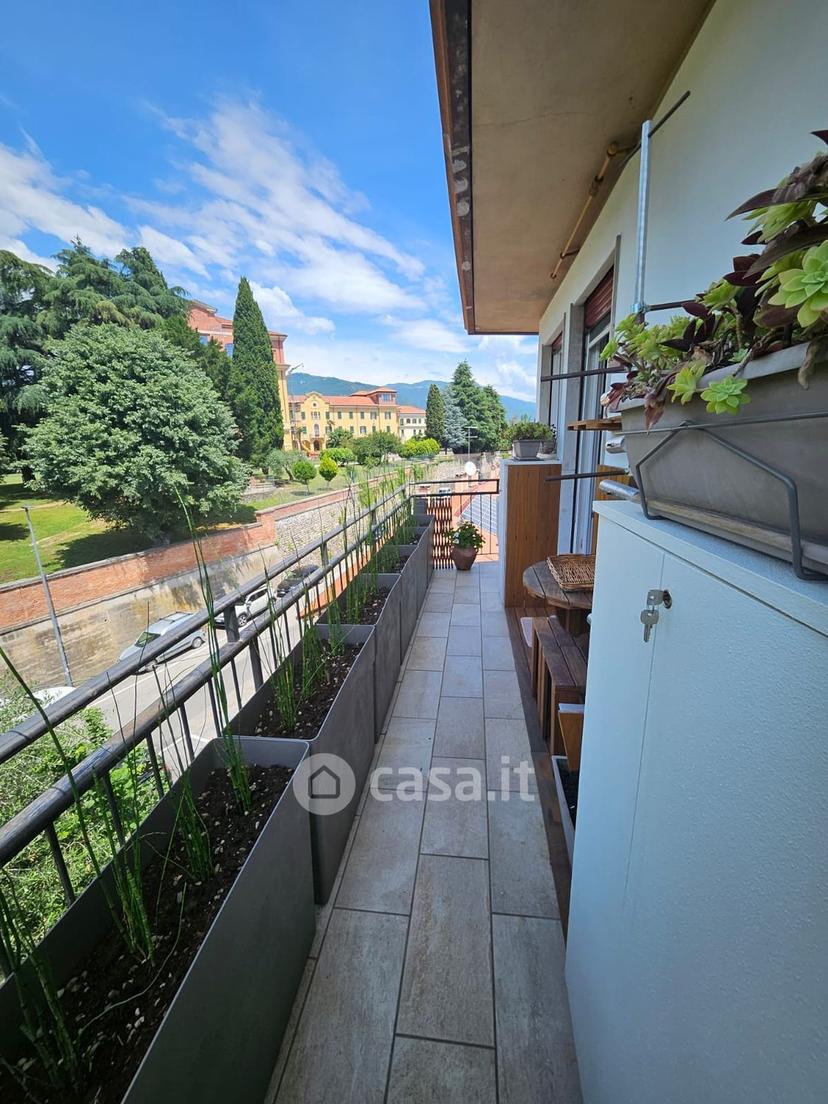Stanza in Via Colombare — foto 12 di 34