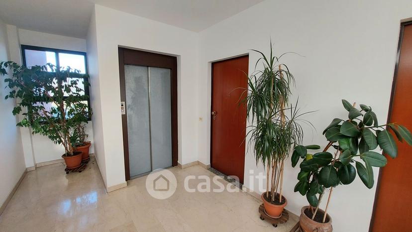 Bilocale in San Gerolamo — foto 8 di 24