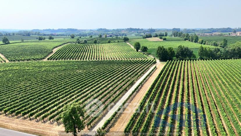Trilocale in Località Zappello 1 — foto 38 di 38