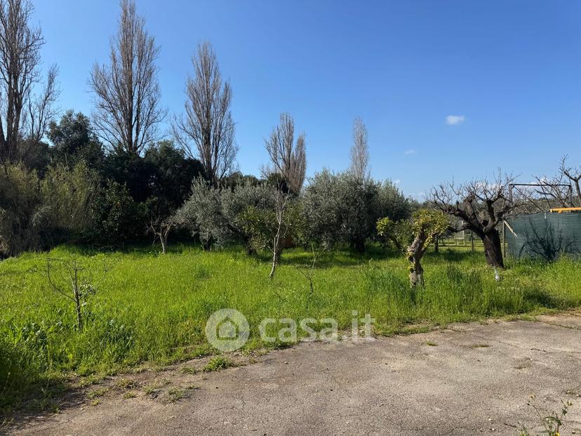 Villa in Via Appia Antica 57 — foto 25 di 77