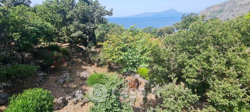 Villa in Via Timpone 1 — foto 2 di 41