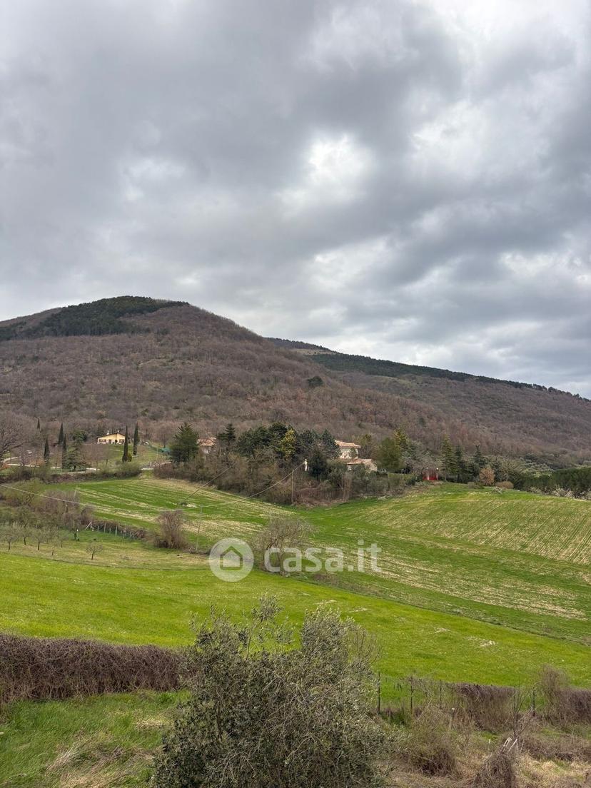 Villa in Via Dante Alighieri 23 — foto 16 di 48