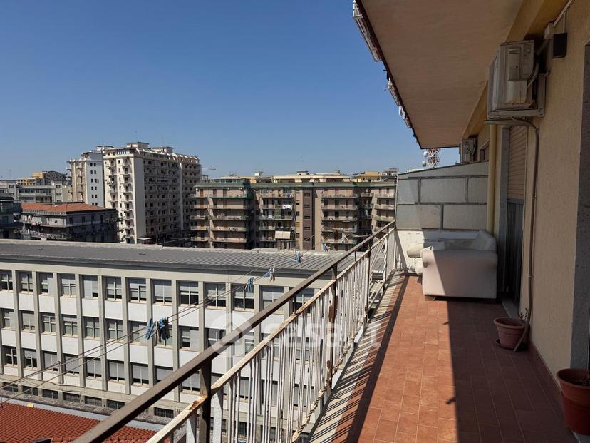 Trilocale in Via Cesare Vivante — foto 9 di 18