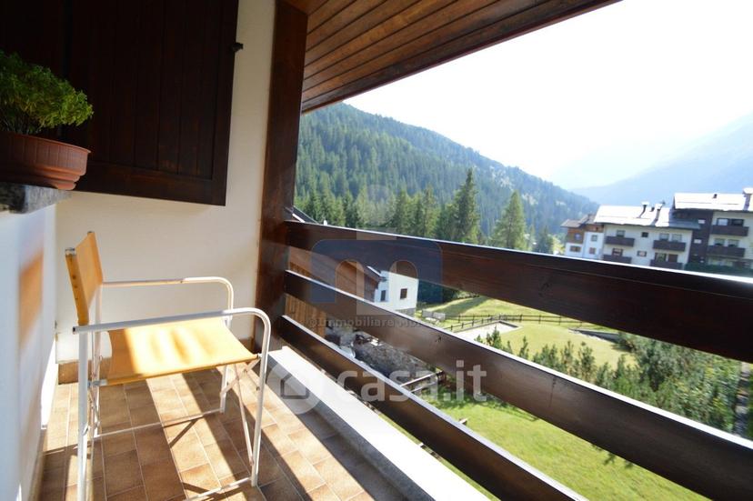 Trilocale in Via Vedich — foto 2 di 30