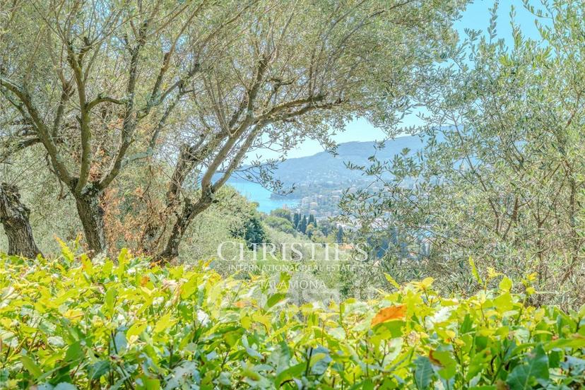 Villa in Via Cornice Fiorita — foto 13 di 54