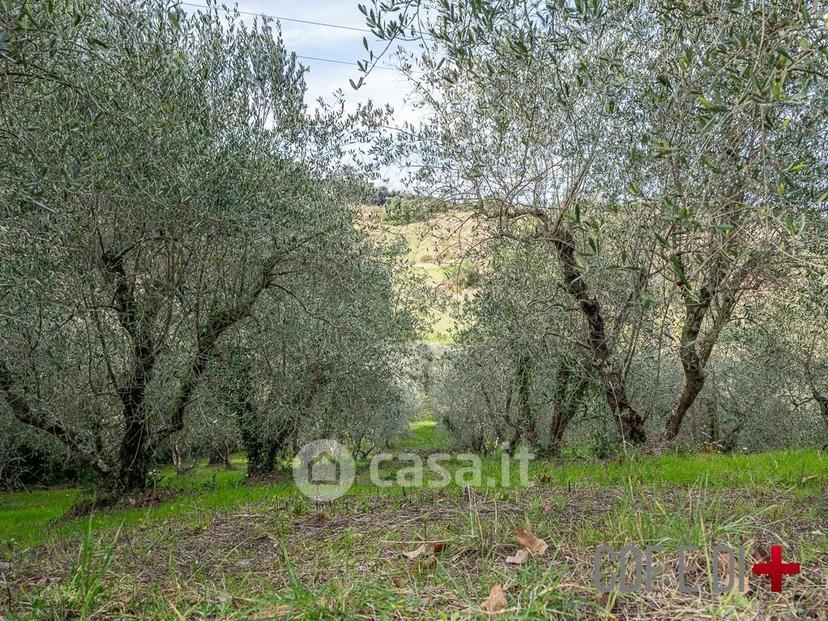 Villa in Strada Statale 439 Sarzanese Valdera 18 — foto 121 di 131