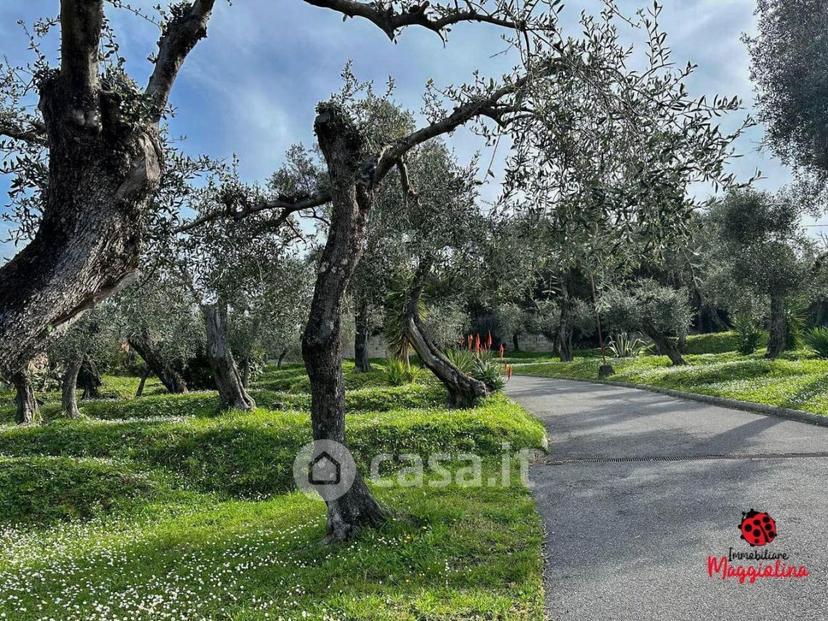 Quadrilocale in Località Piana Est 20 — foto 8 di 48