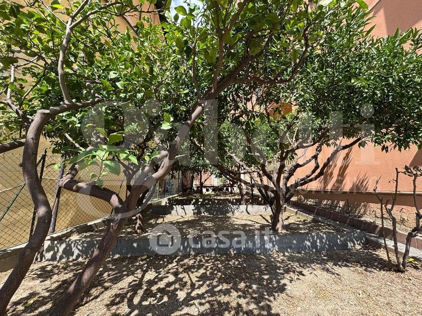 Bilocale in Via Don Giovanni Minzoni — foto 2 di 26