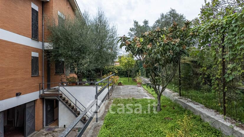 Villa in Via degli Allori E Lauri — foto 35 di 64