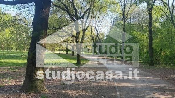 Trilocale in Via del Cavaliere — foto 40 di 51