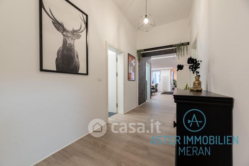 Trilocale in Via Portici — foto 8 di 34