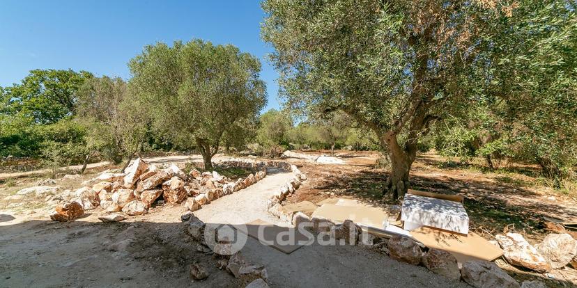 Villa in Contrada Salinola — foto 36 di 45