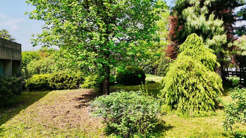 Villa in Via Giosuè Carducci 20 a — foto 77 di 182