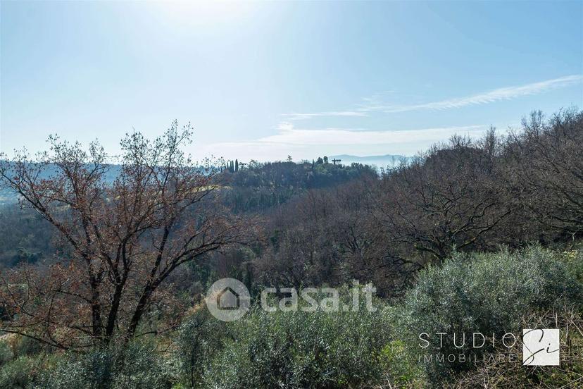 Villa in Via di Burgianico — foto 36 di 50
