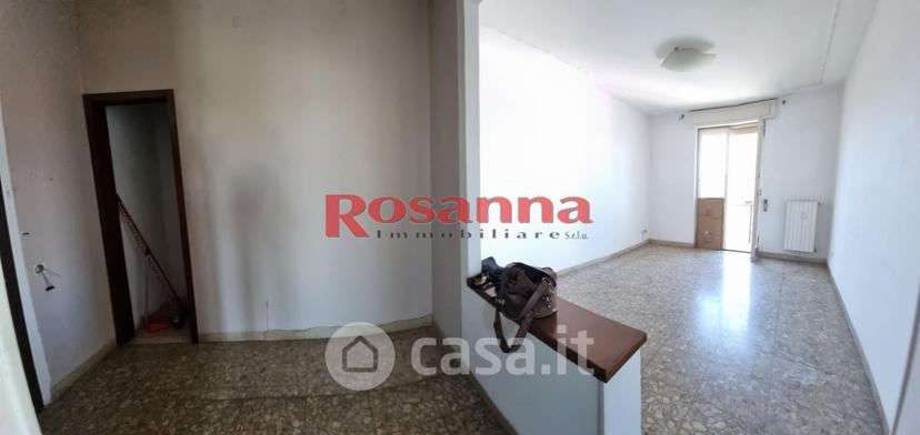 Quadrilocale in Via Alfredo Ascoli 57127 — foto 17 di 46