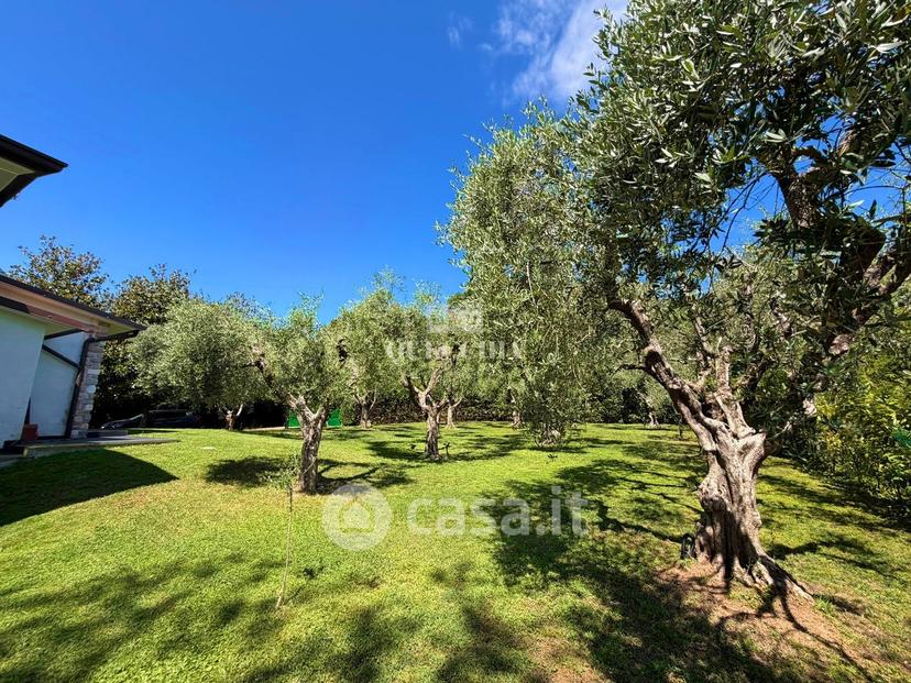 Villa in Via Castellana — foto 8 di 30