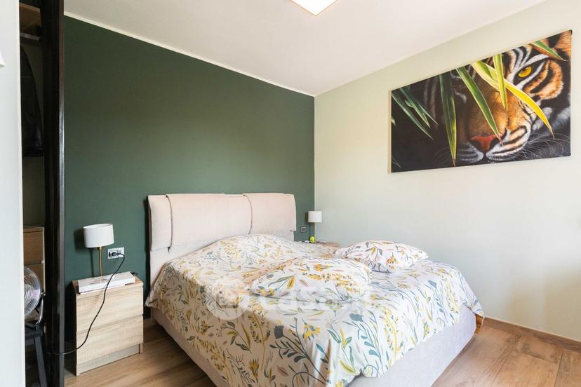 Villa in Via Borgoagnello 11 — foto 23 di 50