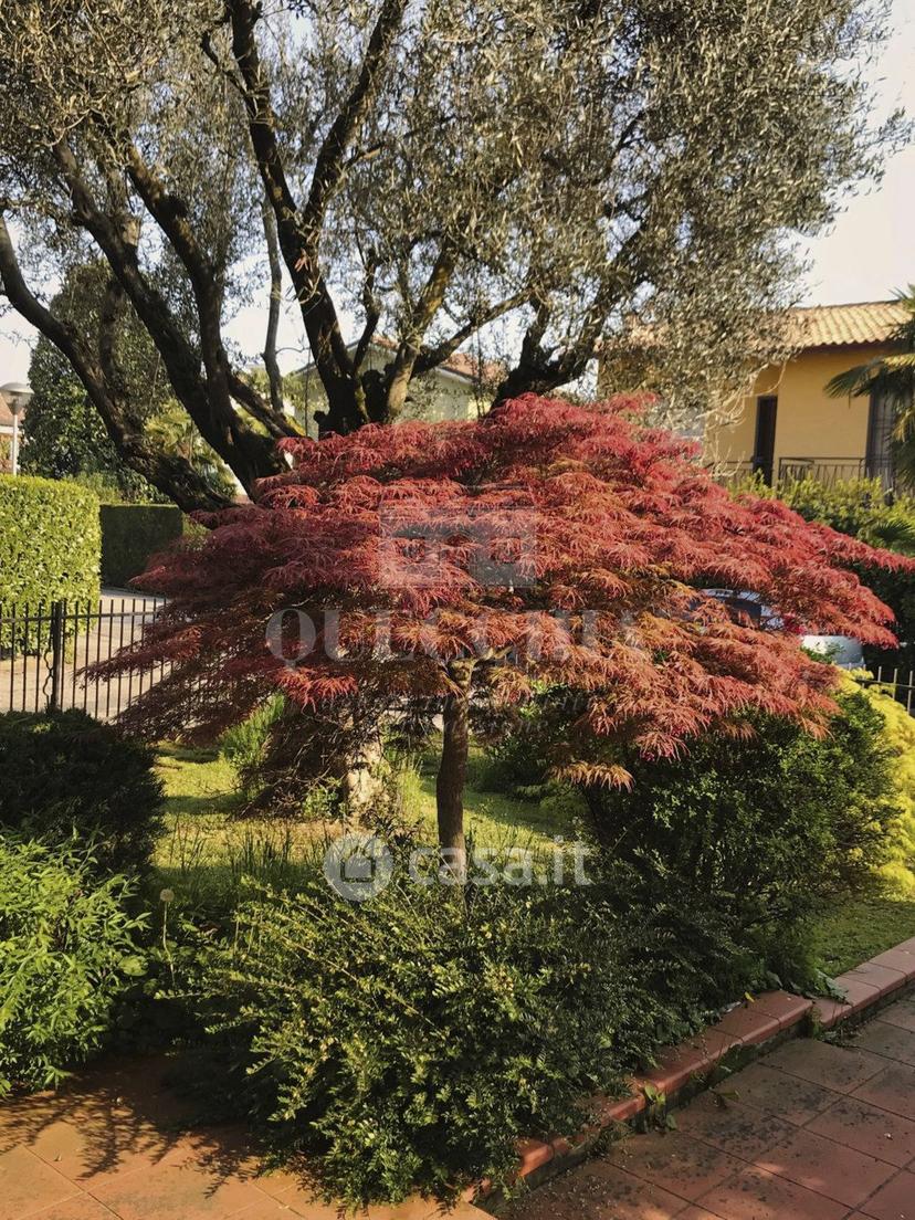 Trilocale in Via Goldoni 8 — foto 4 di 15