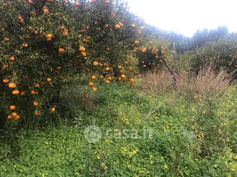 Appartamento in Corso Umberto I — foto 29 di 32