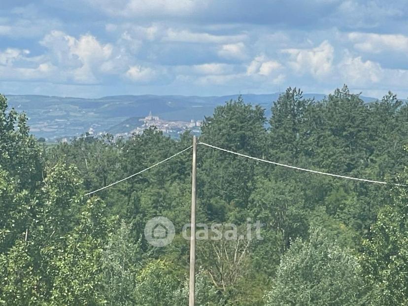 Villa in Vocabolo Aussa — foto 28 di 37