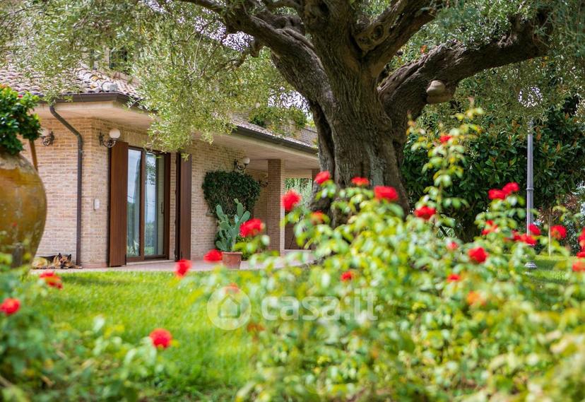 Villa in Contrada San Domenica — foto 36 di 50