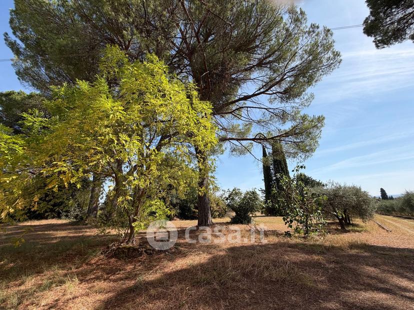 Villa in Strada Provinciale di Monteaperti — foto 30 di 54
