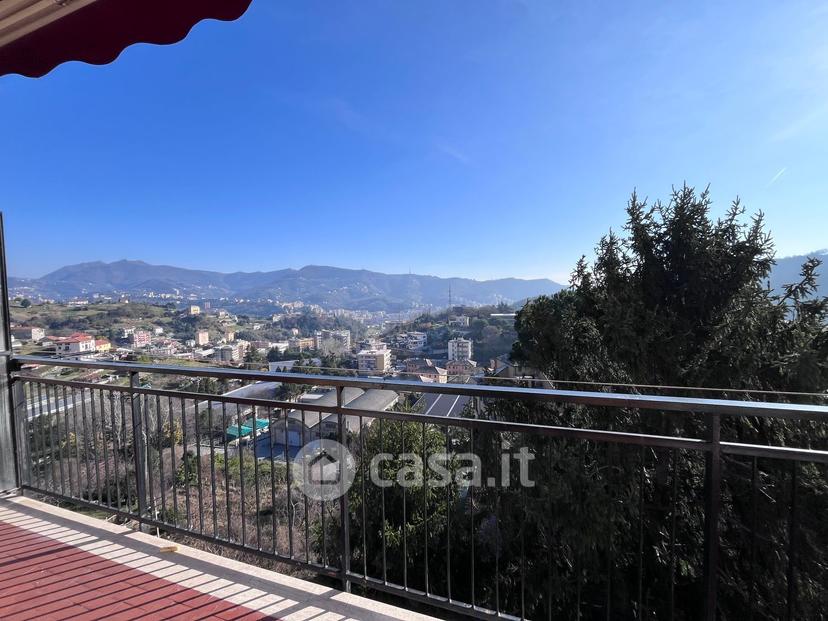 Trilocale in Via Militare di Borzoli 31 — foto 30 di 32