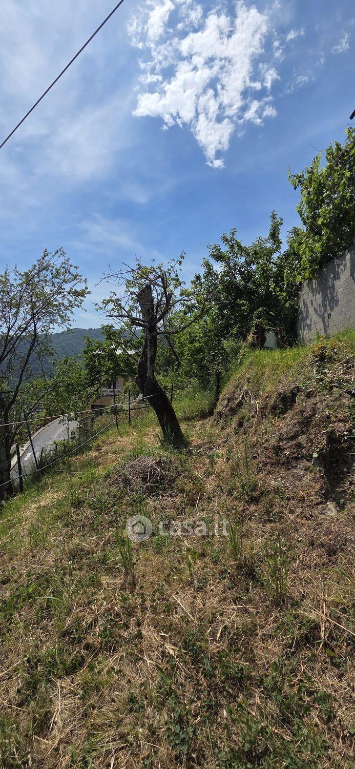 Bilocale in Salita Bisagno 2 — foto 18 di 58