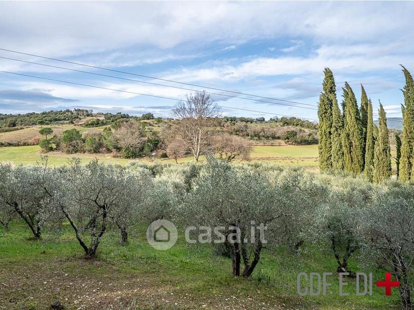 Villa in Strada Statale 439 Sarzanese Valdera 18 — foto 2 di 131