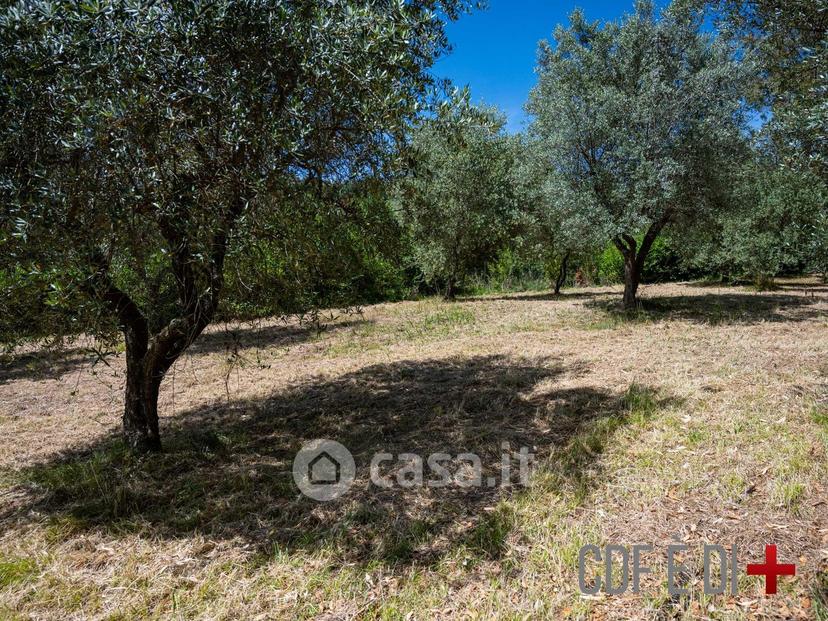 Villa in Vocabolo Marignano — foto 20 di 52