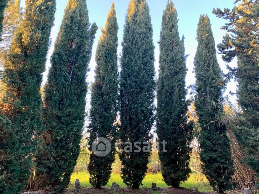 Villa in Montemerano — foto 9 di 50