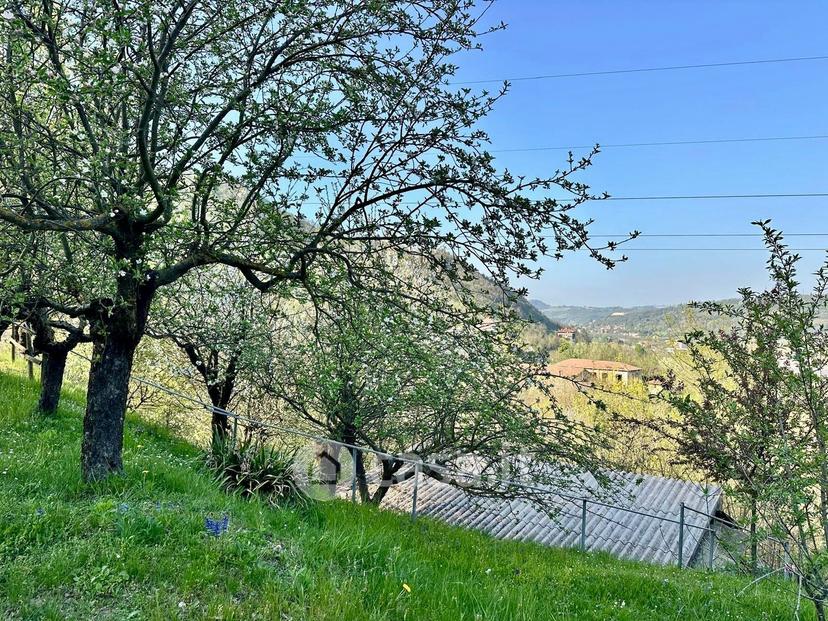 Villa in Via Crenna — foto 21 di 21
