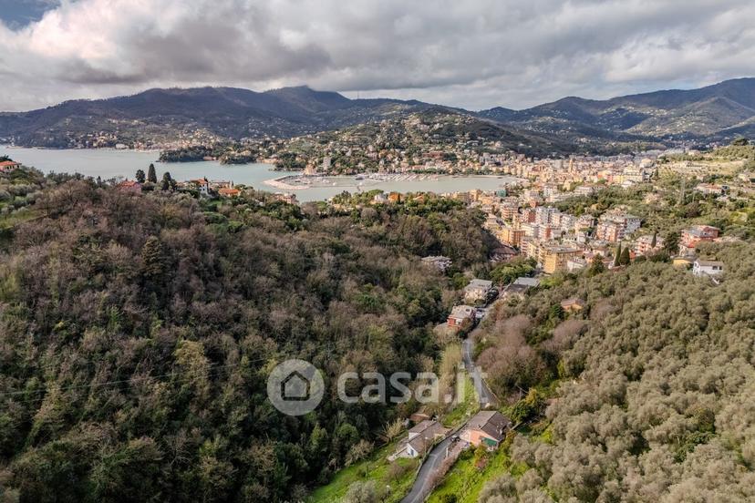 Villa in Via Cornice di Sant'Ambrogio 23 a — foto 23 di 53