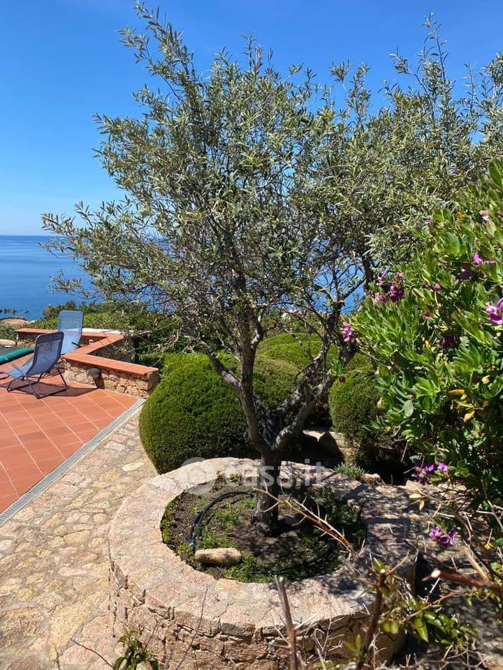 Villa in Costa Paradiso — foto 30 di 33