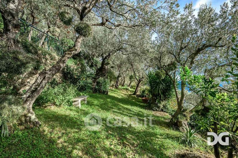 Appartamento in Via Armanna 19 a — foto 13 di 45