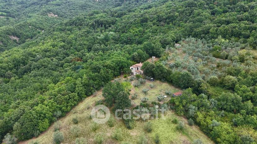 Villa in Strada delle Cerbaie — foto 3 di 63