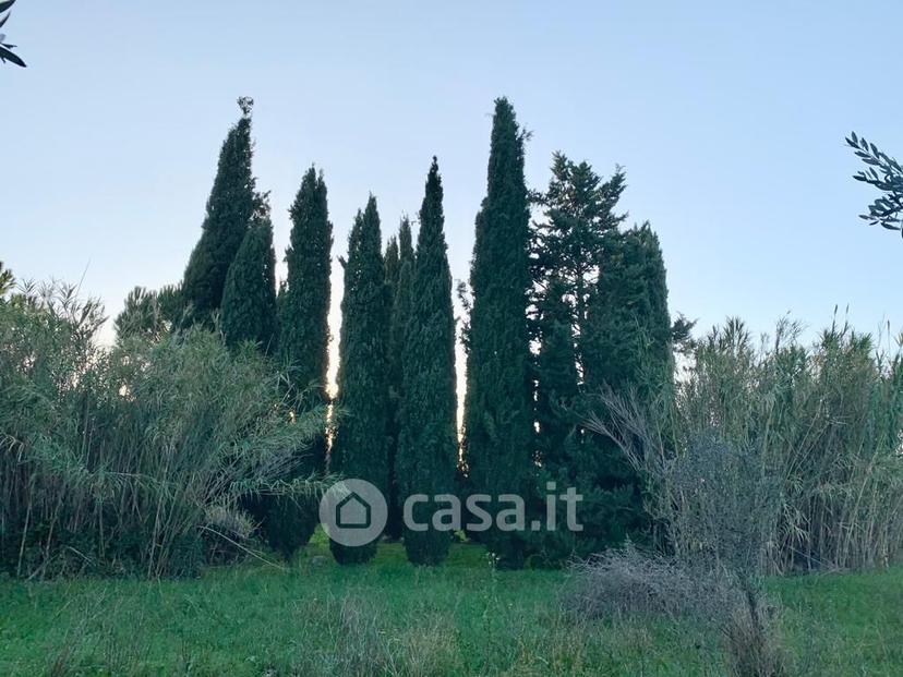 Villa in Montemerano — foto 18 di 50