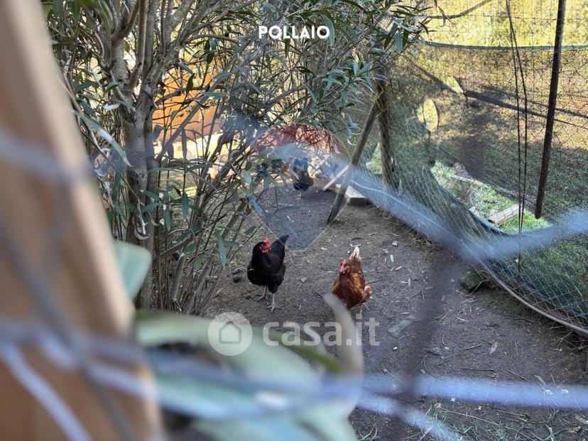 Villa in Strada delle Miniere 9 — foto 14 di 76