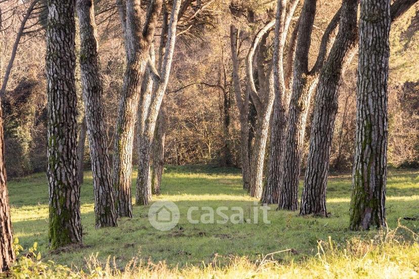 Villa in Via Martiri di Pizzocalvo — foto 4 di 28