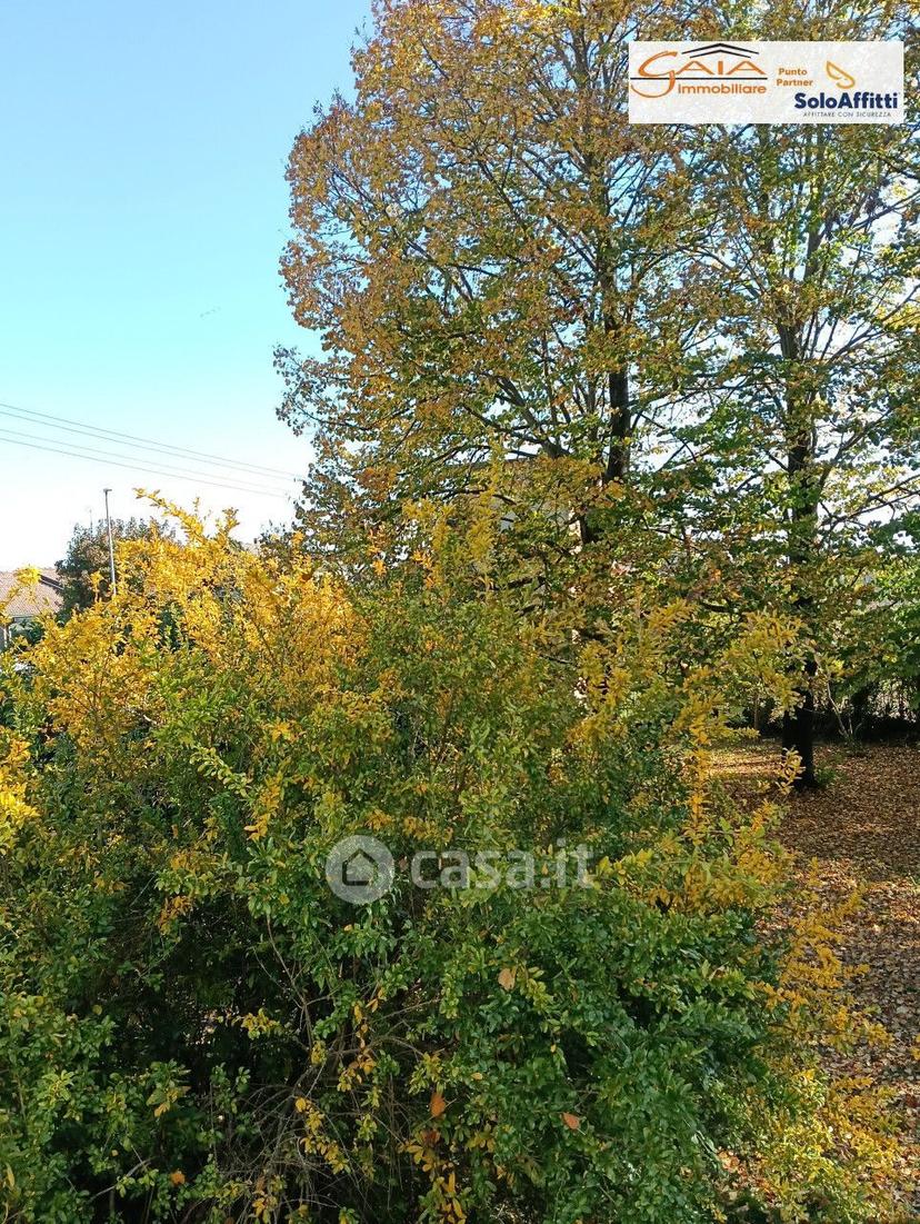 Villa in Via A. Gramsci 46 — foto 46 di 53