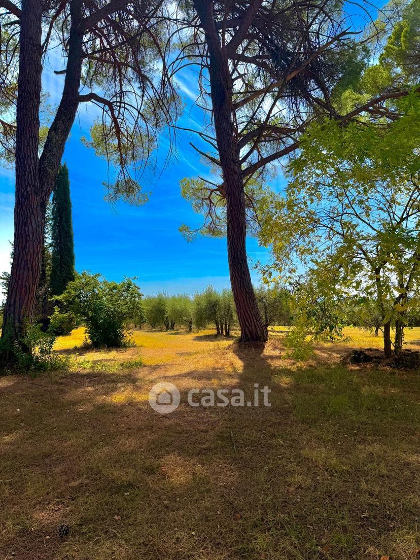 Villa in Strada Provinciale di Monteaperti — foto 22 di 54