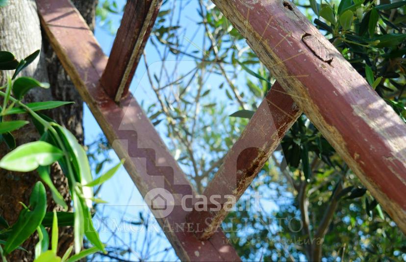 Villa in Strada Esterna Monticelli 2 — foto 18 di 29