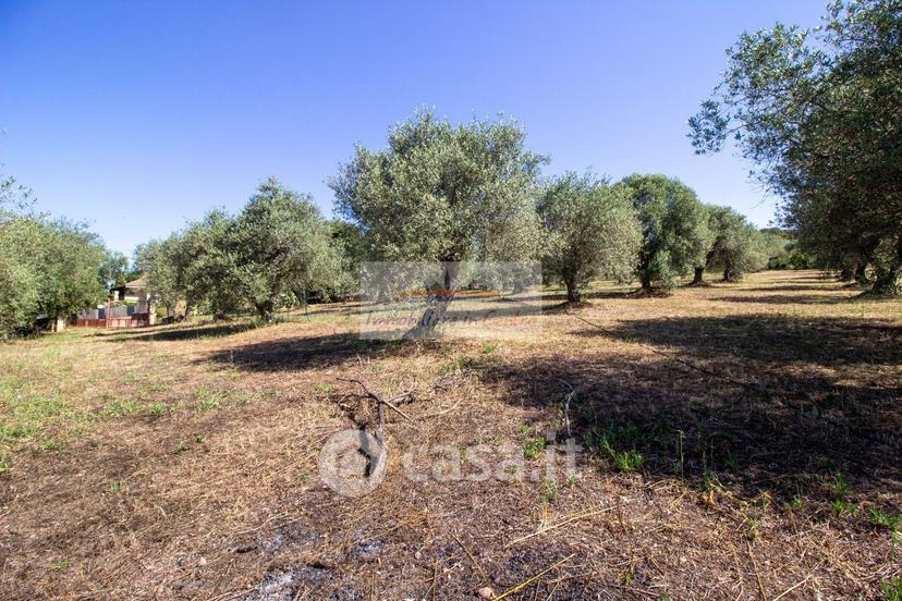 Villa in Strada Vicinale Salondra 78 — foto 18 di 35