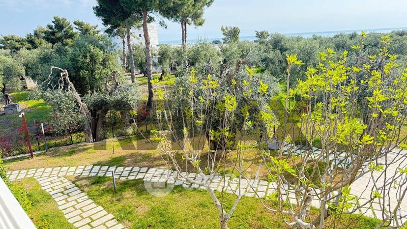 Monolocale in Contrada Pilone del Monaco 20 — foto 23 di 31