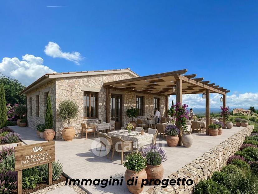 Villa in Vocabolo Aussa — foto 3 di 37